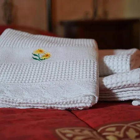 Le Mimose Bed & Breakfast